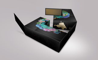 匠心融匯，數字賦能——桐木關紅茶的品牌包裝設計與軟件開發一體化提案